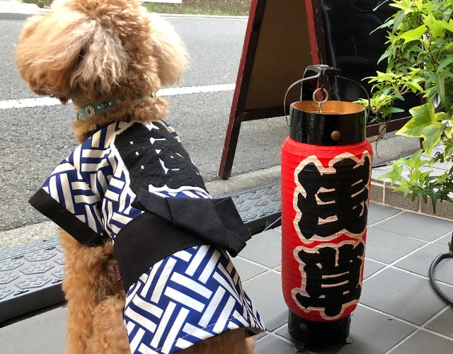 特定商取引法に関する表示