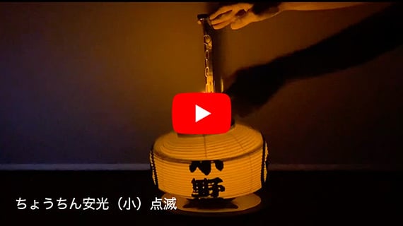 提灯に入れてみた動画です。